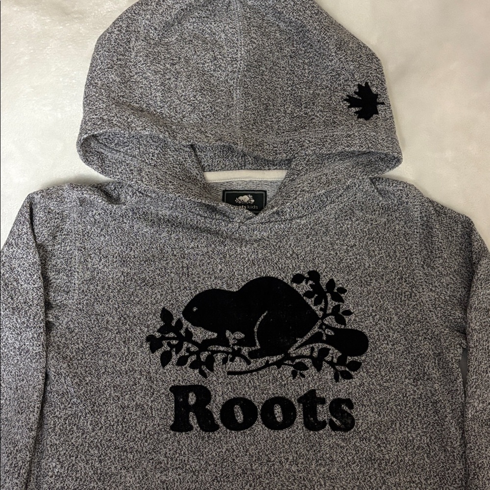 Roots Kids Organic Gray Hoodie